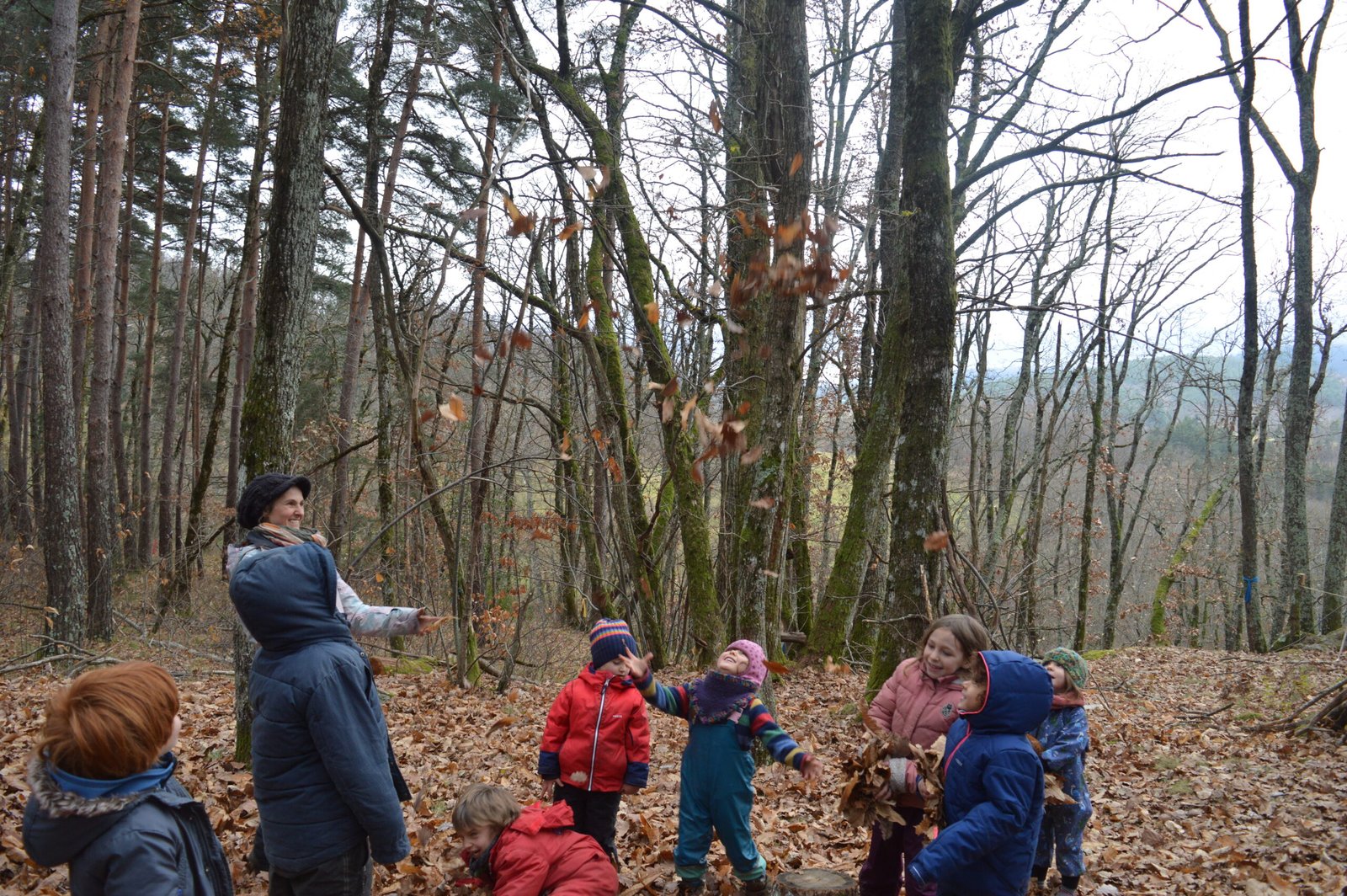 Explorations en forêt