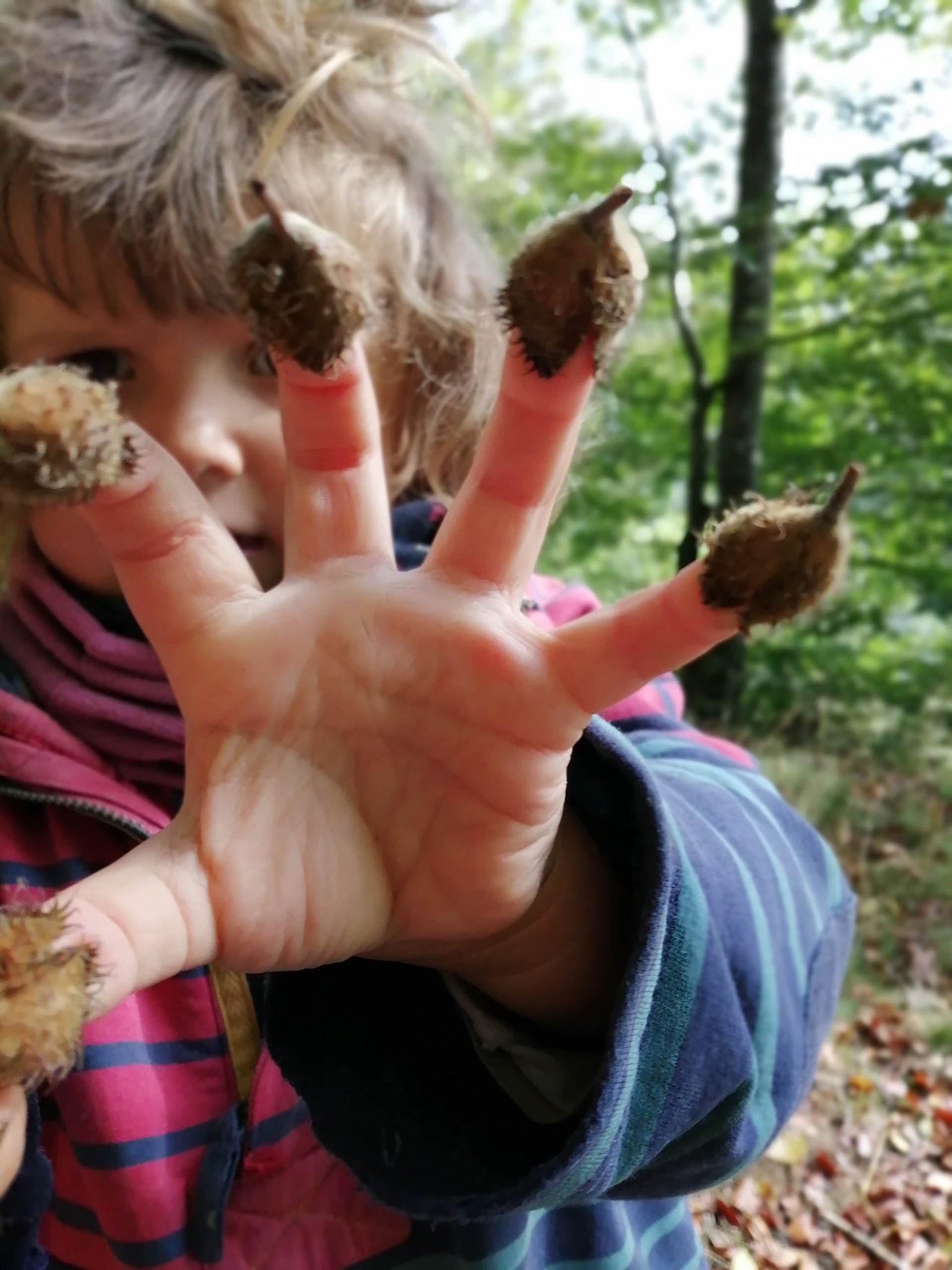 Enfants en forêt avec l'association La Fourmilière
